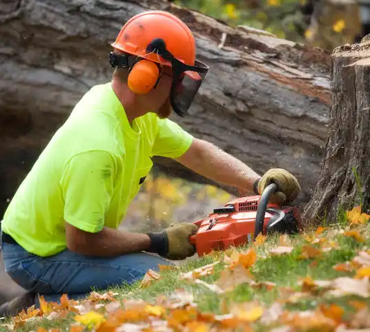 tree services Laplace